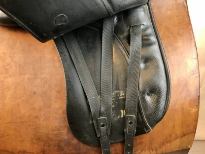 Kieffer Lusitano 17”/33 - Image 2